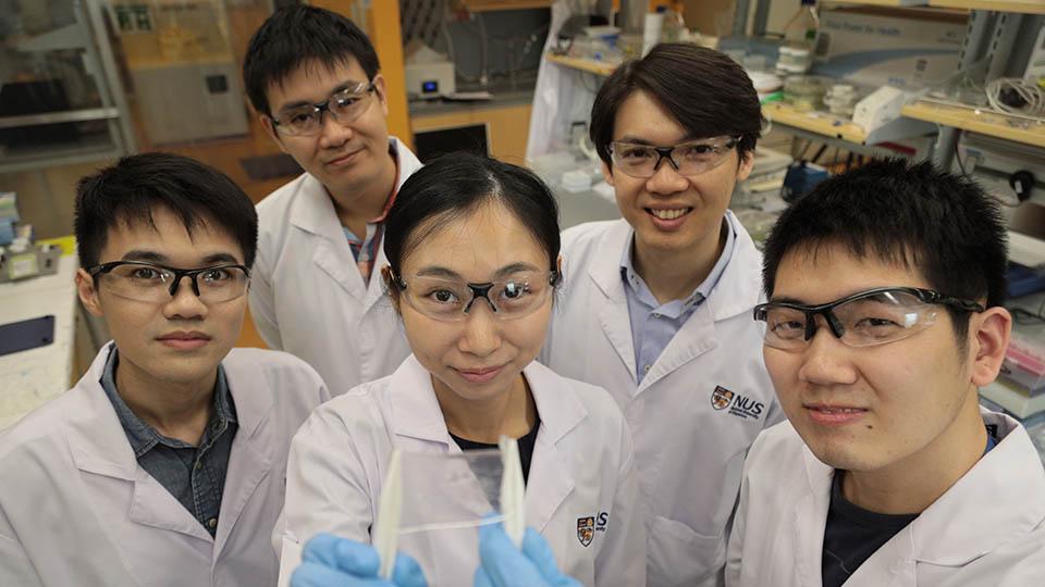 新加坡国立大学研究团队发明了一种以自然为灵感的电子皮肤